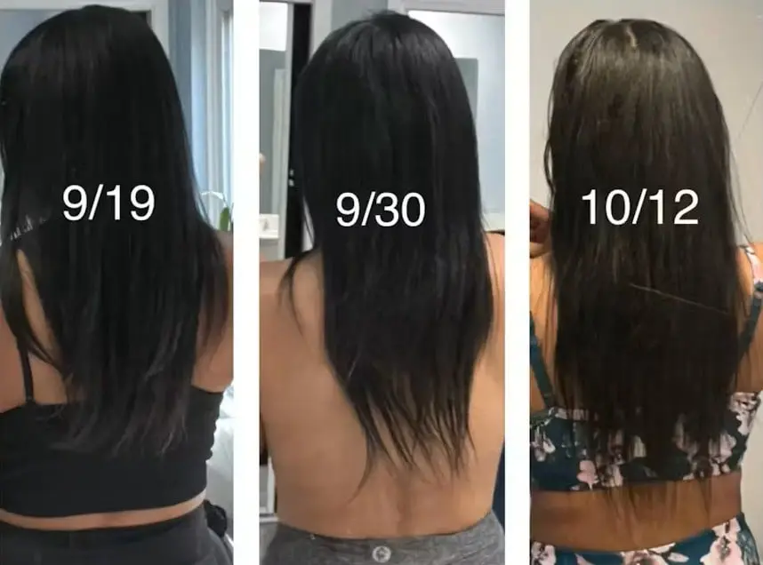 Primal Collagen 5