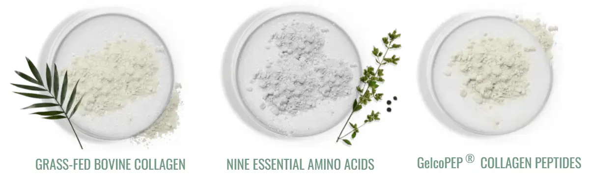 Primal Collagen 10